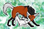 bent_over blue_eyes bow canine digital_media_(artwork) duo female feral flirting fox green_eyes male mammal maned maned_wolf paws quadruped resper simple_background suggestive tongue tongue_out wolf 