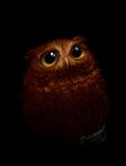  avian bird black_background boggartowl feathers feral owl simple_background solo 