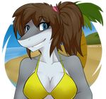  2014 anthro beach breasts clothing female fish hi_res looking_at_viewer marine outside palm_tree seaside shark smile solo swimsuit teeth tree xaenyth 