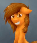  earth_pony equine fan_character female hair hi_res horse looking_at_viewer mammal marsminer my_little_pony pony portrait solo venus_spring 