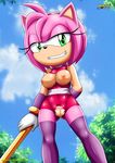  amy_rose breasts clothing female fur gloves green_eyes hair hedgehog hi_res mammal mobian_(species) mobius_unleashed nipples nude palcomix pink_fur pink_hair pussy solo sonic_(series) torn_clothing video_games 