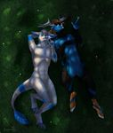  abs absurd_res anthro antlers blue_fur blue_tail canine cervine deer duo eleacat featureless_crotch fur grass hi_res horn lying male mammal navel night nipples on_back outside signature simple_background tail_tuft tuft wolf 