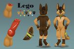  absurd_res animal_genitalia anthro balls brown_fur brown_hair canine collar cub dog fur hair hi_res knot legoiceking_furditore male mammal model_sheet multicolored_fur mushbun nude paws penis ponytail sac sheath solo tailband wereshep wereshepherd young 