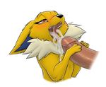  2014 adam_wan bestiality blush cum cum_in_mouth cum_inside cum_on_tongue cumshot disembodied_penis duo eeveelution erection fangs fellatio female feral human humanoid_penis interspecies jolteon larger_male male male/female mammal nintendo open_mouth oral orange_eyes orgasm paws penis pok&eacute;mon pok&eacute;philia sex size_difference smaller_female solo_focus teeth tongue video_games 