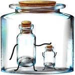  cork jar no_humans original siblings transparent_background |_| 
