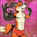 2013 abs anthro athletic bingo bingo_ball black_nose bulge canine clothed clothing digital_media_(artwork) english_text fox foxy_bingo fur hi_res kcee looking_at_viewer male mammal navel open_mouth pecs pose shorts smile solo text tongue topless 