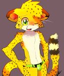  blush bulge cheetah clothing cub cute_fangs feline front_view hi_res looking_at_viewer male mammal one_eye_closed open_mouth salmy signature solo speedo standing sweat sweatdrop swimsuit tight_clothing whiskers whiteleo young 
