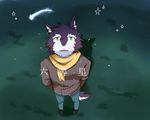  anthro black_fur canine cheek_tuft clothed clothing dog footwear fur grass green_eyes hi_res inner_ear_fluff japanese_text kemono looking_at_viewer looking_up male mammal night open_mouth outside pants reina_(artist) scarf shoes solo star teeth text tongue tuft utau 