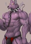  abs biceps big_muscles black_nose bulge canine captainjohkid chain clothed clothing collar colored flakjacket0204 fur grey_background hi_res japanese_text leash male mammal muscular pecs purple_fur red_eyes simple_background solo speedo standing swimsuit text topless wolf 