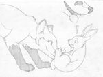  ! ballbiting balls barefoot bite canine clenched_teeth close-up cock_and_ball_torture duo feral fox greyscale hi_res interspecies lagomorph lying male mammal mizzyam monochrome multiple_images on_back pencil_(artwork) predator/prey_relations quadruped rabbit sharp_teeth side_view size_difference teeth traditional_media_(artwork) 