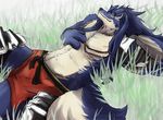  3_fingers abstract_background armor blue_fur blue_hair canine clothing duga fur grass grin hair hand_on_chest jewelry long_hair lying male mammal muscular necklace shining_(series) shining_force_exa shiyou sleeping video_games white_fur wolf 