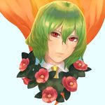  amino_(tn7135) bad_id bad_pixiv_id blue_background face flower green_hair kazami_yuuka looking_at_viewer portrait red_eyes short_hair simple_background solo touhou 