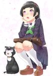  bad_id bad_pixiv_id black_hair blush cat eyebrows hairband hand_on_own_cheek hime_cut kneehighs loafers long_hair long_sleeves nezumidoshi open_mouth original petals pleated_skirt purple_eyes sailor_collar school_briefcase school_uniform shoes skirt solo squatting thick_eyebrows 
