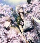  2boys acaco black_hair blue_eyes bokken brown_eyes bun_cover cherry_blossoms chinese_clothes double_bun gintama glasses hadanugi_dousa japanese_clothes kagura_(gintama) kimono long_sleeves multiple_boys red_hair sakata_gintoki shimura_shinpachi short_hair short_sleeves silver_hair sword weapon wooden_sword 