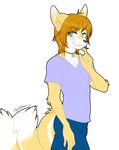  2015 anthro ashura_(character) blush canine chest_tuft clothed clothing fox green_eyes jewelry male mammal multi_tail necklace portrait rishi-chan simple_background smile solo standing three-quarter_portrait tuft white_background 