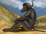  anthro cape_buffalo chief_bogo disney hooves horn looking_at_viewer male maudgone nude outside sitting solo zootopia 