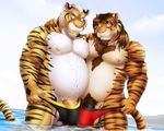  anthro asyr balls big_penis bulge clothing dream_and_nightmare duo feline male male/male mammal night_(dream_and_nightmare) nipples overweight penis speedo swimsuit tiger water 