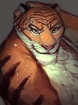  anthro disney feline grey_background hi_res lapdog looking_at_viewer male mammal portrait simple_background solo stripper_tiger_(zootopia) tiger zootopia 