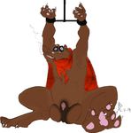  anthro balls bdsm big_balls bondage bound brightchimeradragon brown_fur cellan_(species) drugs fur hi_res looking_at_viewer male mammal marijuana mustelid otter paws penis presenting simple_background smoke smoking solo spread_legs spreading 