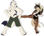  battle canine female invalid_tag male mammal to wolf 