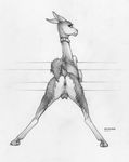  2016 anus camelid clitoris clitoris_piercing collar ecmajor female feral genital_piercing hi_res llama looking_at_viewer looking_back mammal piercing presenting pussy pussy_piercing raised_tail simple_background sketch solo teats watermark white_background 