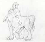  animal_genitalia animal_penis athletic body_hair centaur chest_hair equine equine_penis equine_taur erection greyscale hooves male mammal medial_ring monochrome navel neverwolf nude pencil_(artwork) penis sheath solo standing taur traditional_media_(artwork) 