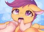  2016 duo equine fearingfun female feral friendship_is_magic hair hi_res male mammal my_little_pony open_mouth pegasus penis purple_hair scootaloo_(mlp) solo_focus tongue tongue_out wings young 