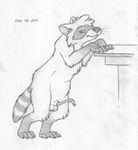  2011 anatomically_correct angry animal_genitalia animal_penis balls digitigrade erection feral greyscale male mammal mizzyam monochrome pencil_(artwork) penis quadruped raccoon raccoon_penis reaching sheath solo spread_legs spreading table traditional_media_(artwork) vice_the_raccoon whiskers 