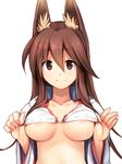  animal_ears areola_slip areolae bikini bikini_top blush breasts brown_eyes brown_hair closed_mouth concon-collector eyebrows eyebrows_visible_through_hair fox_ears hair_between_eyes highres long_sleeves medium_breasts open_clothes open_shirt raisu_(nijie) shirt simple_background smile solo swimsuit tareme underboob upper_body white_background white_bikini white_shirt wide_sleeves 