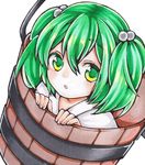  bucket green_eyes green_hair hair_bobbles hair_ornament in_bucket in_container kisume kurumikko looking_at_viewer marker_(medium) open_mouth simple_background solo touhou traditional_media two_side_up white_background wooden_bucket 