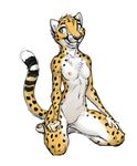  2015 adam_wan anthro blue_eyes breasts casual_nudity cheetah chest_tuft digitigrade feline female fur grin hi_res kneeling mammal navel nipples nude raised_tail simple_background sketch small_breasts solo tasteful_nudity tuft white_background 