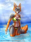  2016 abs alma_aurora anthro bikini black_nose breasts camel_toe canine chest_tuft cleavage clothed clothing female fox fur green_eyes mammal multicolored_fur navel orange_fur partially_submerged solo standing swimsuit tuft two_tone_fur water 