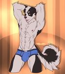  anthro bulge canine castbound clothing dog hands_behind_head male mammal penis_outline solo underwear 