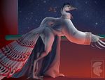  2016 anthro anthrofied avian beak bird bottomless butt clothed clothing crest digitigrade feathers kung_fu_panda looking_at_viewer looking_back lord_shen male peacock_feather peafowl rear_view red_eyes robe solo spartadog standing talons white_feathers winged_arms wings 