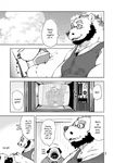  anthro bear canine clothing comic dog english_text eyewear glasses greyscale kumagaya_shin male male/male mammal manga monochrome overweight pug text tom_(kumagaya) 