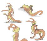  2016 animal_genitalia cloaca daxter eyewear goggles jak_and_daxter looking_back lying mammal multiple_poses mustelid nude on_back ottsel pose presenting rear_view simple_background sketch solo standing tuke white_background 