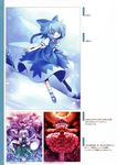  capura.l cirno eternal_phantasia konpaku_youmu remilia_scarlet saigyouji_yuyuko touhou 