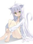  ahoge animal_ears ass barefoot bell bell_collar breasts cat_ears cat_girl cat_tail collar collarbone error green_eyes hands_together highres long_hair looking_at_viewer makadamixa medium_breasts open_clothes open_shirt original shirt sitting solo tail very_long_hair white_background white_hair wrong_feet 