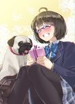  :d ^_^ ahoge bag blush box brown_hair chromatic_aberration closed_eyes dog drooling gift gift_box glasses grin knees_together_feet_apart miniskirt open_mouth original pantyhose pleated_skirt pug saliva school_uniform short_hair sitting skirt smile yahako 