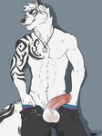  2016 abs anthro balls bambii_dog blue_eyes canine chest_tuft clothed clothing erection fox fur gear jewelry looking_at_viewer male mammal necklace open_pants penis precum simple_background smirk solo standing topless tuft undressing white_fur wolf 
