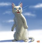  blue_eyes cat cat_focus cloud commentary day fangs matataku no_humans original signature sky slit_pupils standing surprised_cat_(matataku) white_day white_fur 