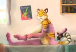  2016 anthro arm_warmers bed blush book bow_tie bulge caught clothed clothing crossdressing feline girly legwear looking_at_viewer male mammal sitting skirt solo stockings stripes tiger vu06 