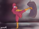  2016 action_pose anthro avian avian_(starbound) beak crest feathers jackalsota maladash male nude punching_bag rear_view red_feathers solo starbound tail_feathers talons video_games 