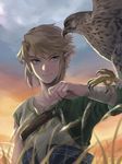  animal_on_arm bird bird_on_arm blonde_hair blue_eyes earrings falconry grass hawk highres jewelry link male_focus pointy_ears protected_link sky smile solo the_legend_of_zelda the_legend_of_zelda:_twilight_princess tsuuuyu upper_body 