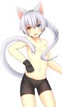  animal_ears bike_shorts cat_ears cat_tail cowboy_shot fangs fingerless_gloves gloves hair_censor heterochromia highres kida_kuro_mu long_hair navel original simple_background slit_pupils solo tail tail_censor topless white_background white_hair 