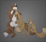  anthro canine erection fennec fox handjob male male/male mammal massage paws penis scarf sibling size_difference twins yomari_u 
