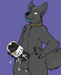  2016 anthro balls black_fur black_penis canine chest_tuft coin collar cum cum_drip cumshot dripping edit english_text erection fur hand_on_hip looking_down male mammal masturbation nude orgasm paox penile_masturbation penis purple_background simple_background smile solo standing text thick_penis tip_jar tongue tongue_out tuft wolf yellow_eyes 