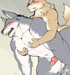  abs all_fours anal anal_penetration anthro biceps blush canine cum doggystyle duo erection from_behind_position fur ginnosuke gintyatya hands-free male male/male mammal muscular nude open_mouth orgasm pec_grasp pecs penetration penis sex size_difference small_dom_big_sub wolf 