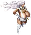  areola_slip areolae breasts cleavage dark_elf elf glands_of_montgomery huge_breasts long_hair pirotess plump pointy_ears record_of_lodoss_war seinto_(metameter) solo white_hair white_legwear 