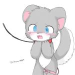  blue_eyes blush chano chano_(character) chinchilla cub fur grey_fur grey_tail leash mammal paws rodent saliva saliva_string sex_toy tongue vibrator whiskers young 